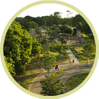 Parque Bernardo Élis